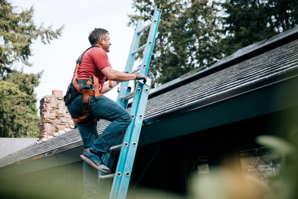 Best Roof Maintenance and Cleaning  in Frackville, PA